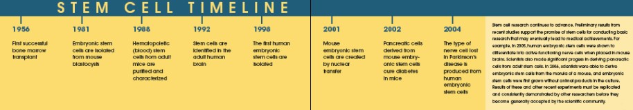 Stem cells: a brief history and outlook